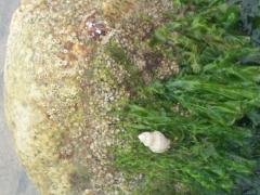 Tuesday July 12, 2011 10:25 - 100_1091 (2).JPG